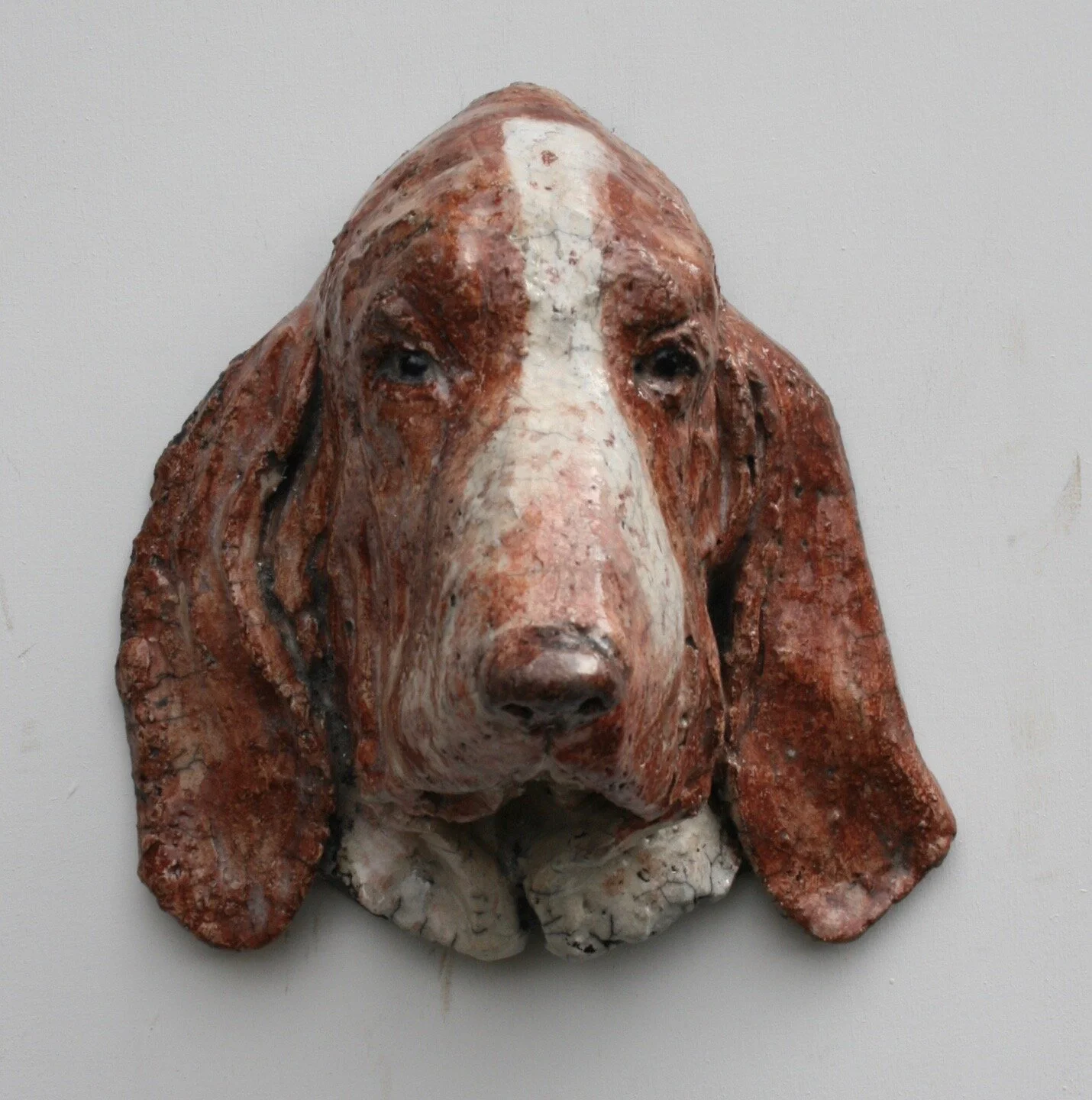Bram. Bracco Italiano.