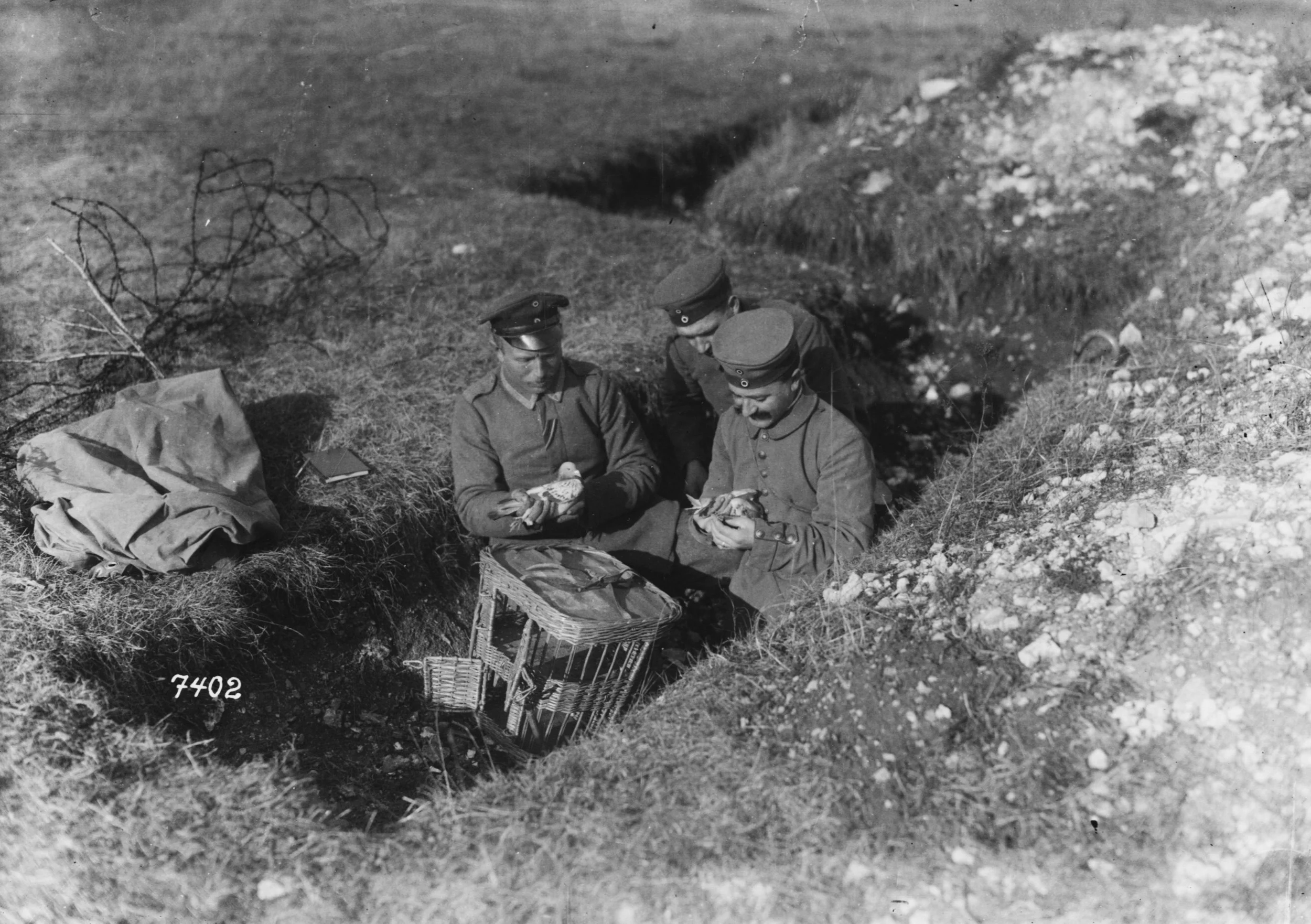 German troops with homing pigeons, Western Front. 