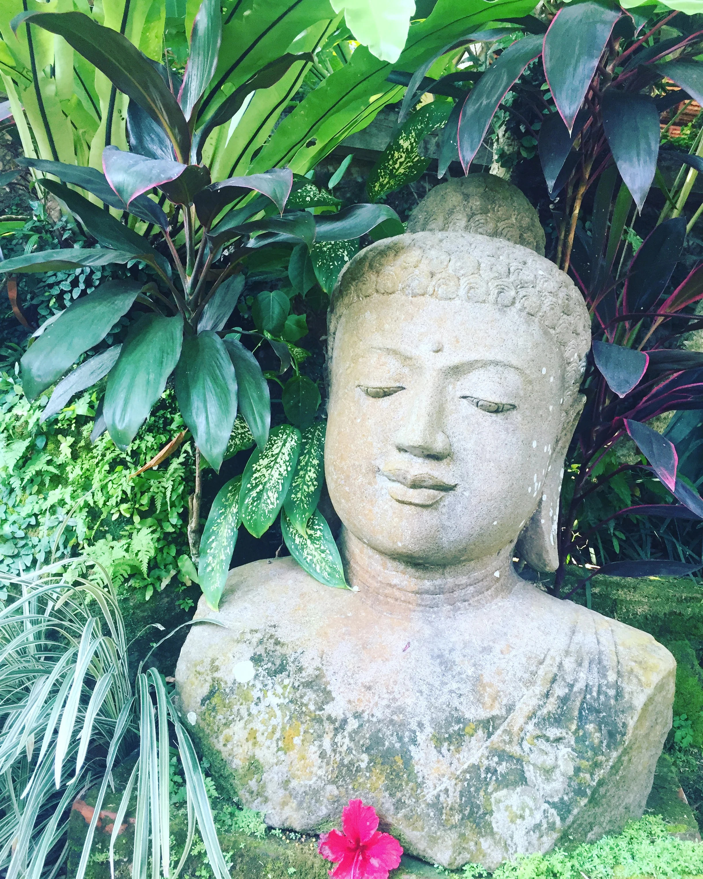 Best Advice | Pause for Thought | BBC Radio 2