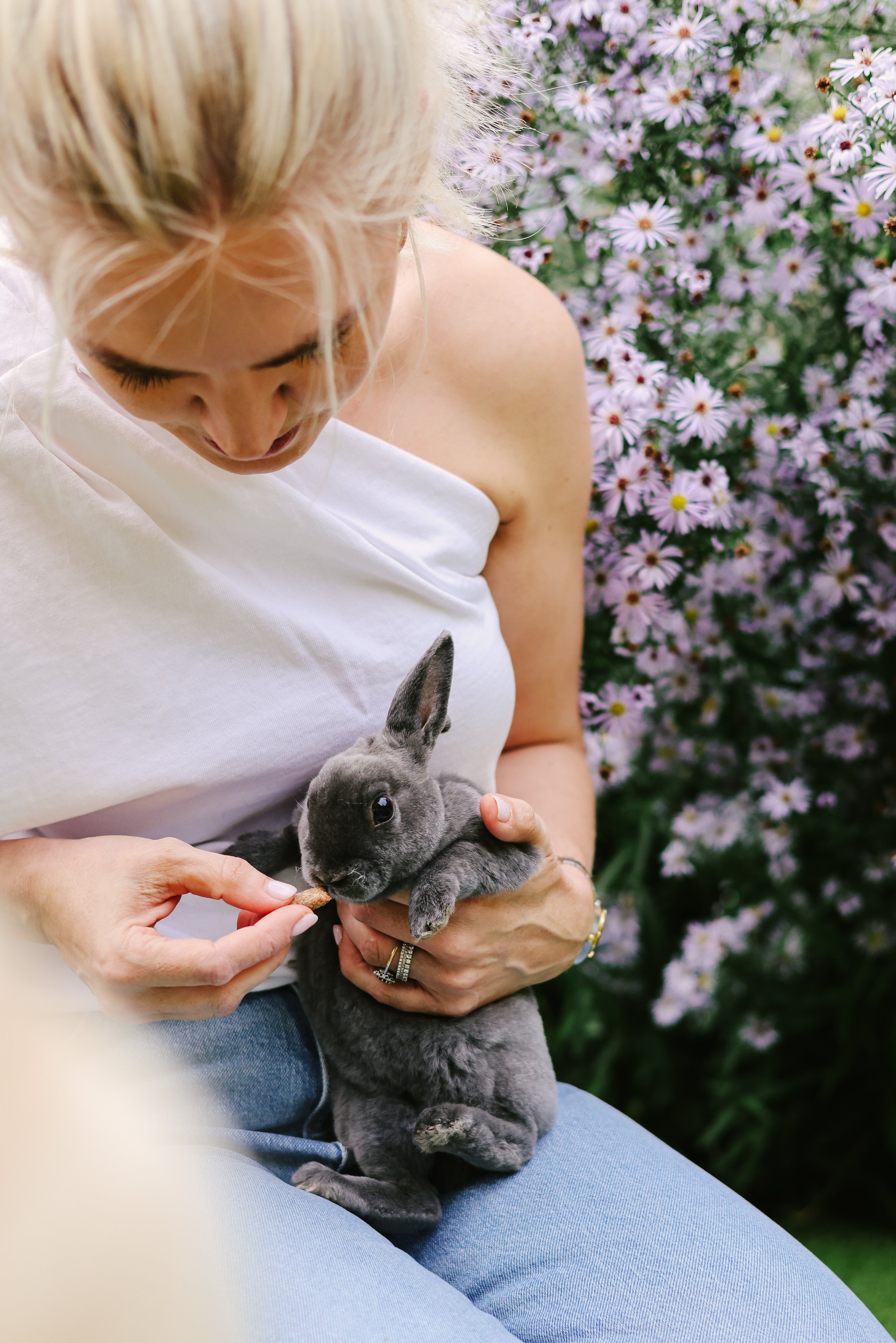 Loosing a pet