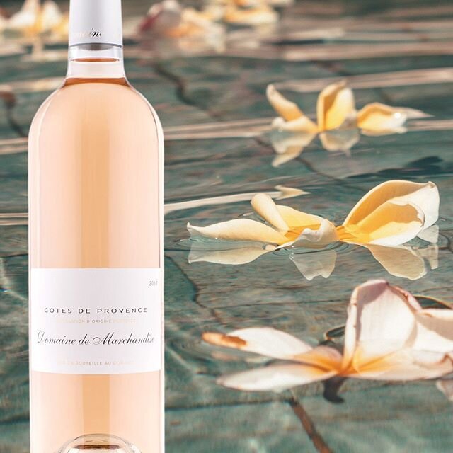 20% OFF PROVENCE ROSE ✨ Notes of white peach, citrus and litchi. Link in bio.