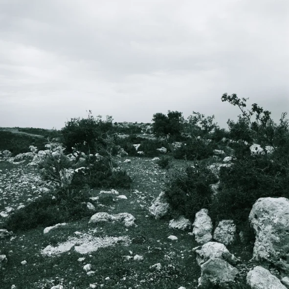 Helio22.jpg