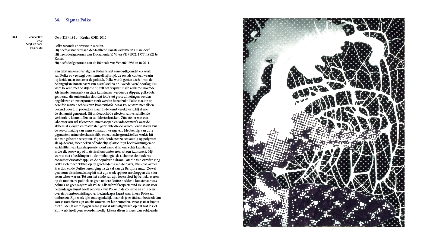 34. SIGMAR POLKE.png