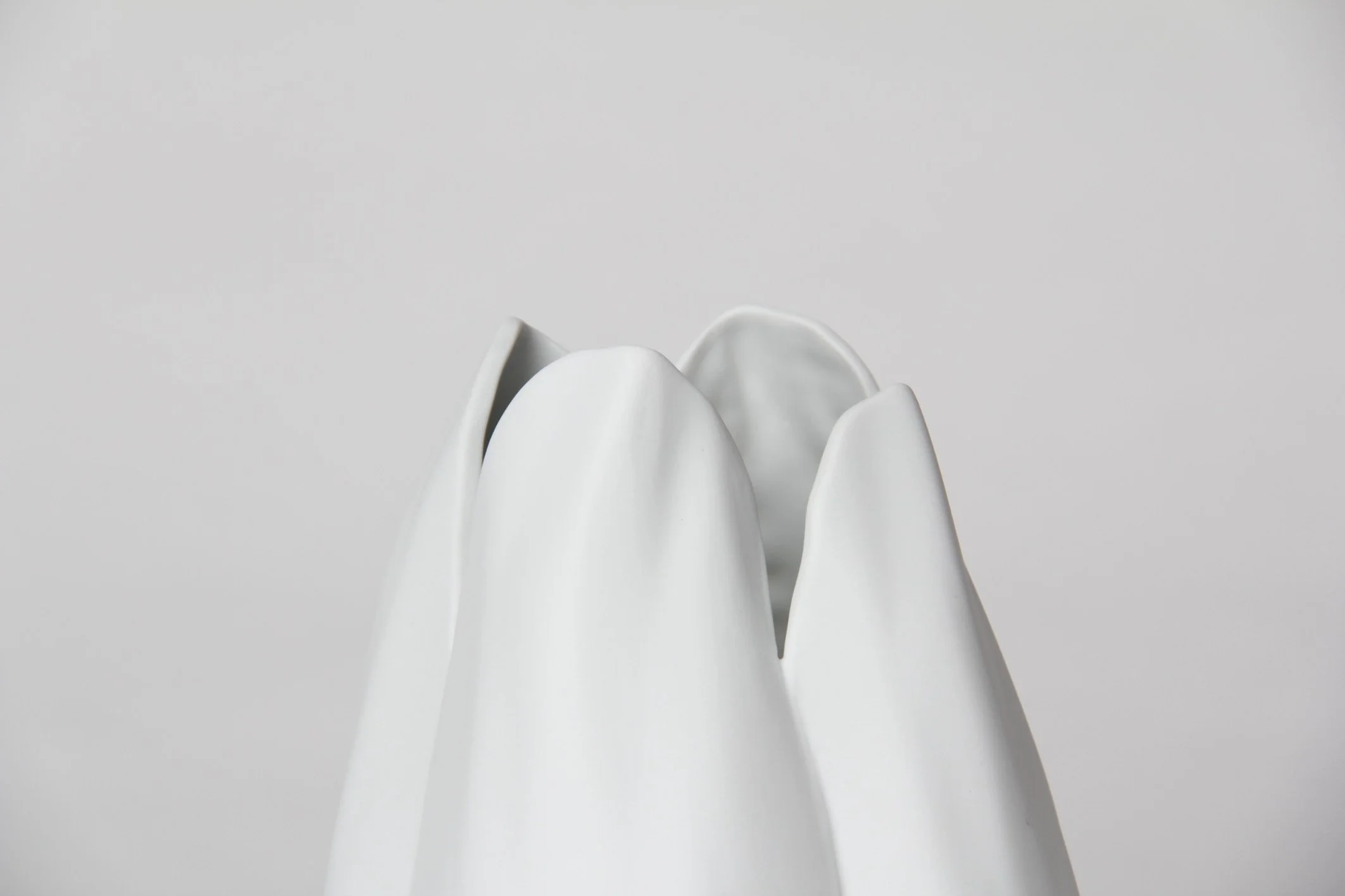 3_Tulip_Vase_300dpi_18x12_RGB_BW.jpeg
