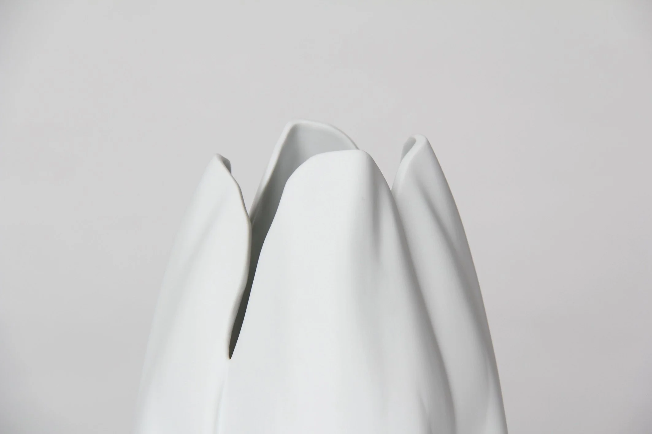 4_Tulip_Vase_300dpi_18x12_RGB_BW.jpeg