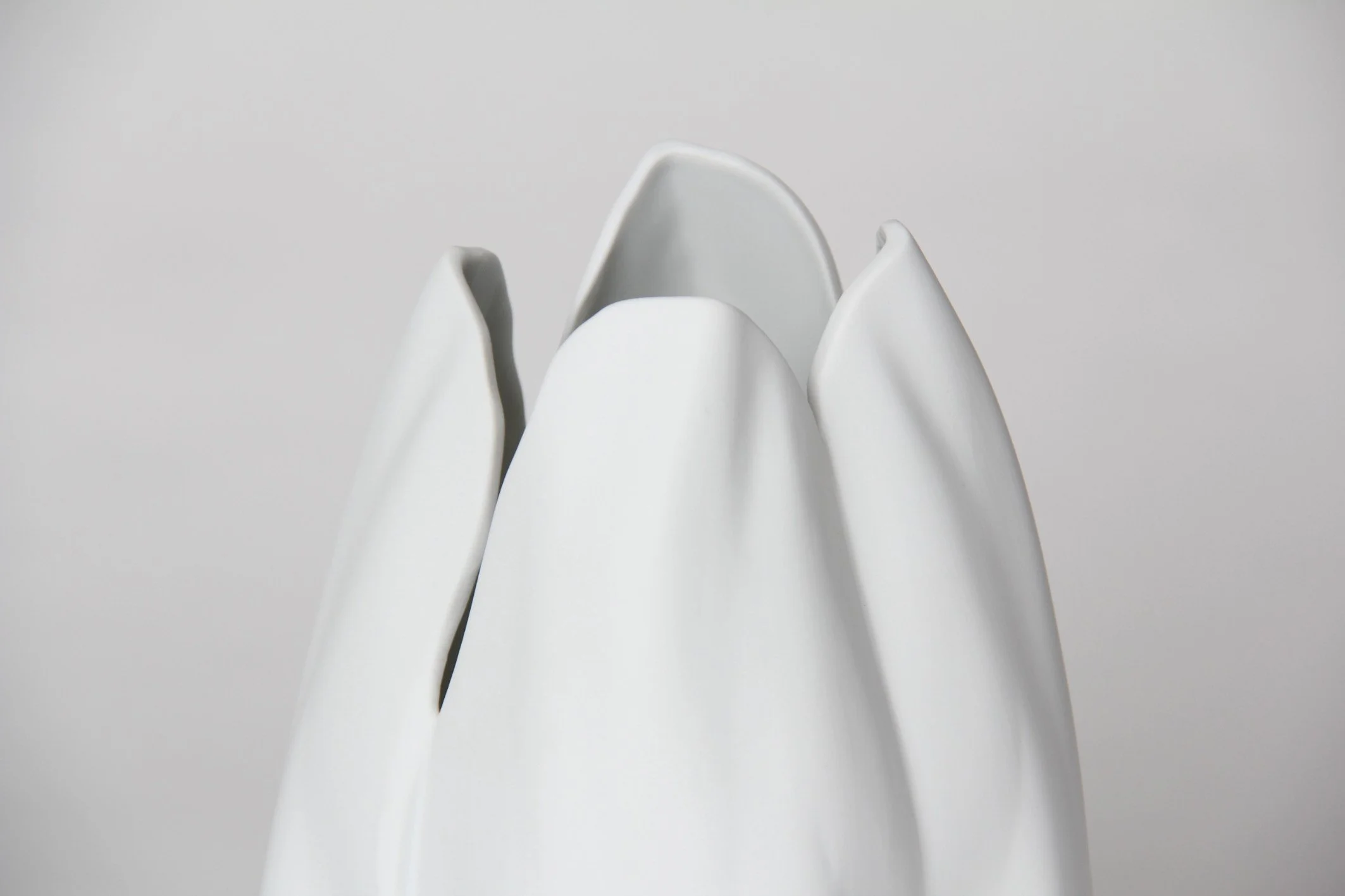 5_Tulip_Vase_300dpi_18x12_RGB_BW.jpeg