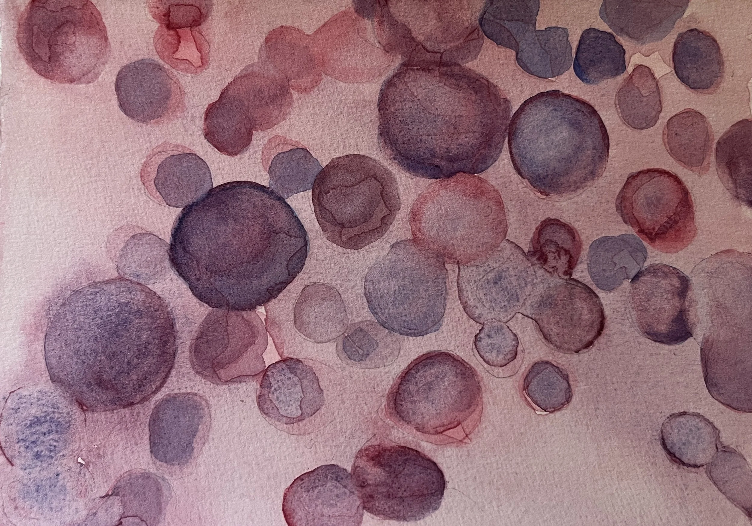 Cells.jpeg