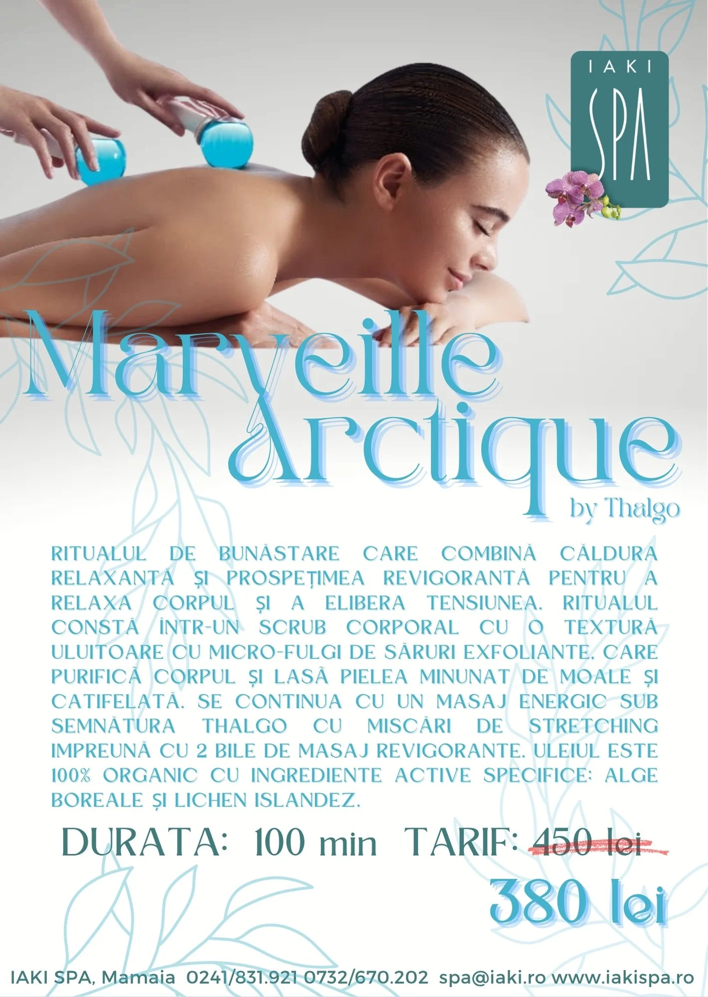 vivo merveille.jpg