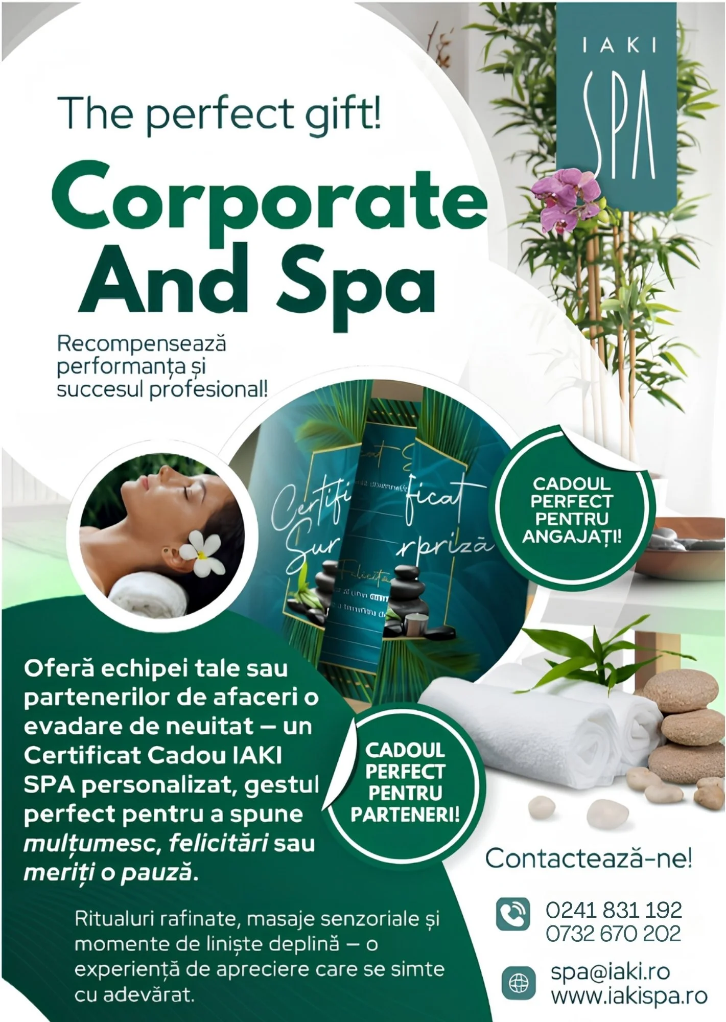 OFERTE SPA.jpg