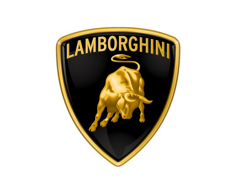 lamborghini epoxy floor long island.jpg