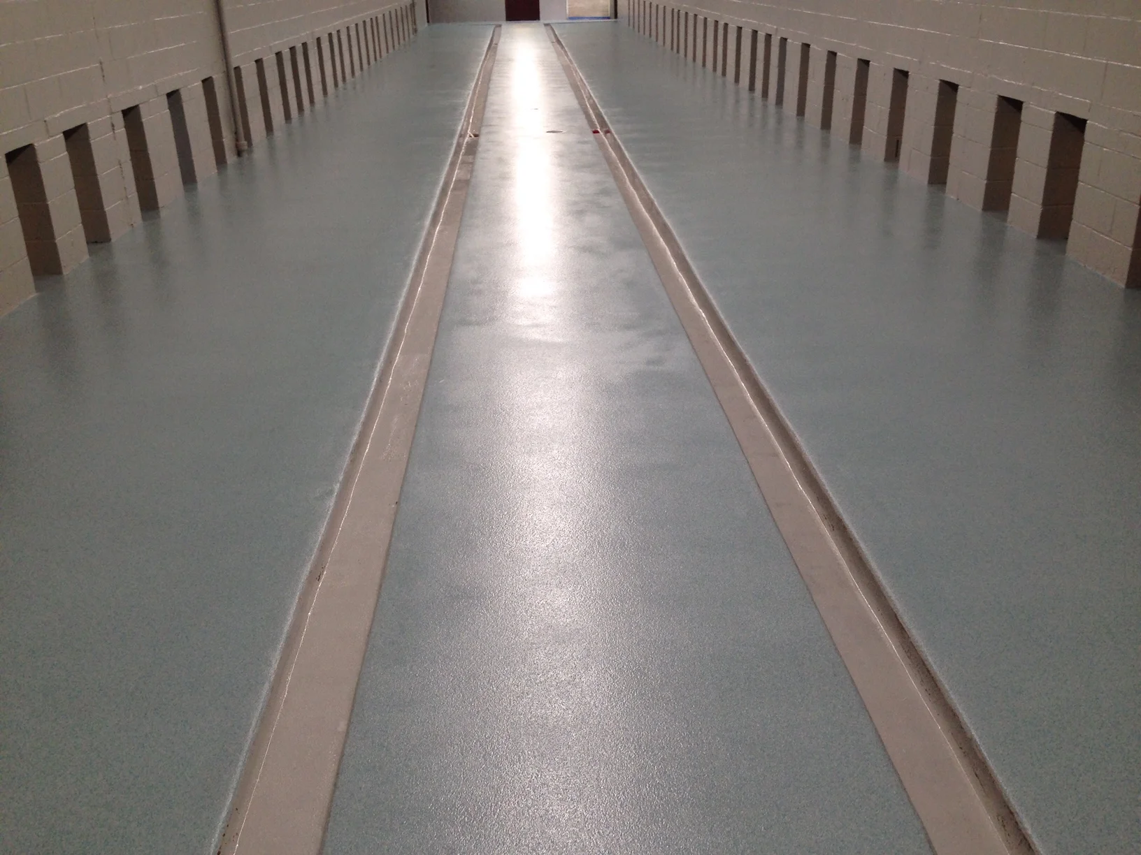 dog kennel floor paint — Epoxy Flooring Blog Seamless Floors NY