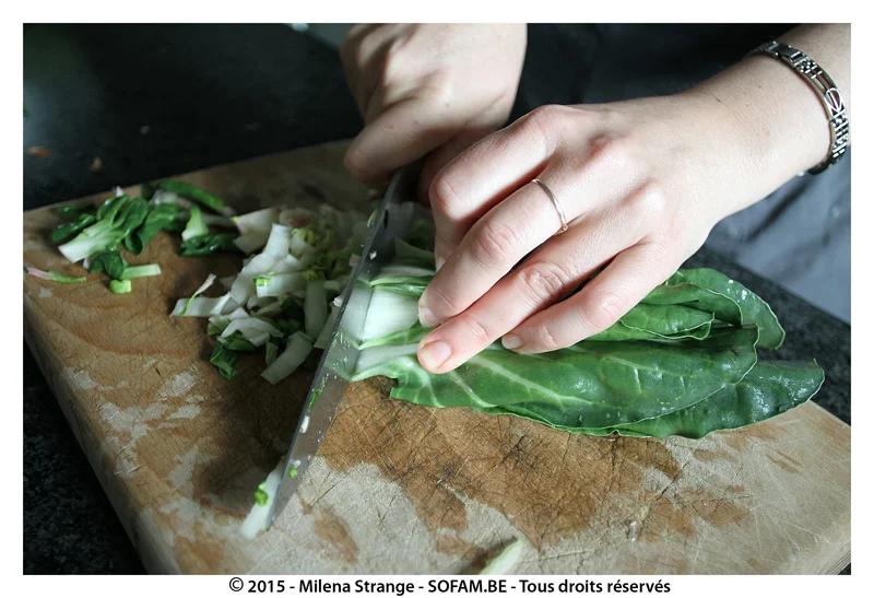 Plant based iron