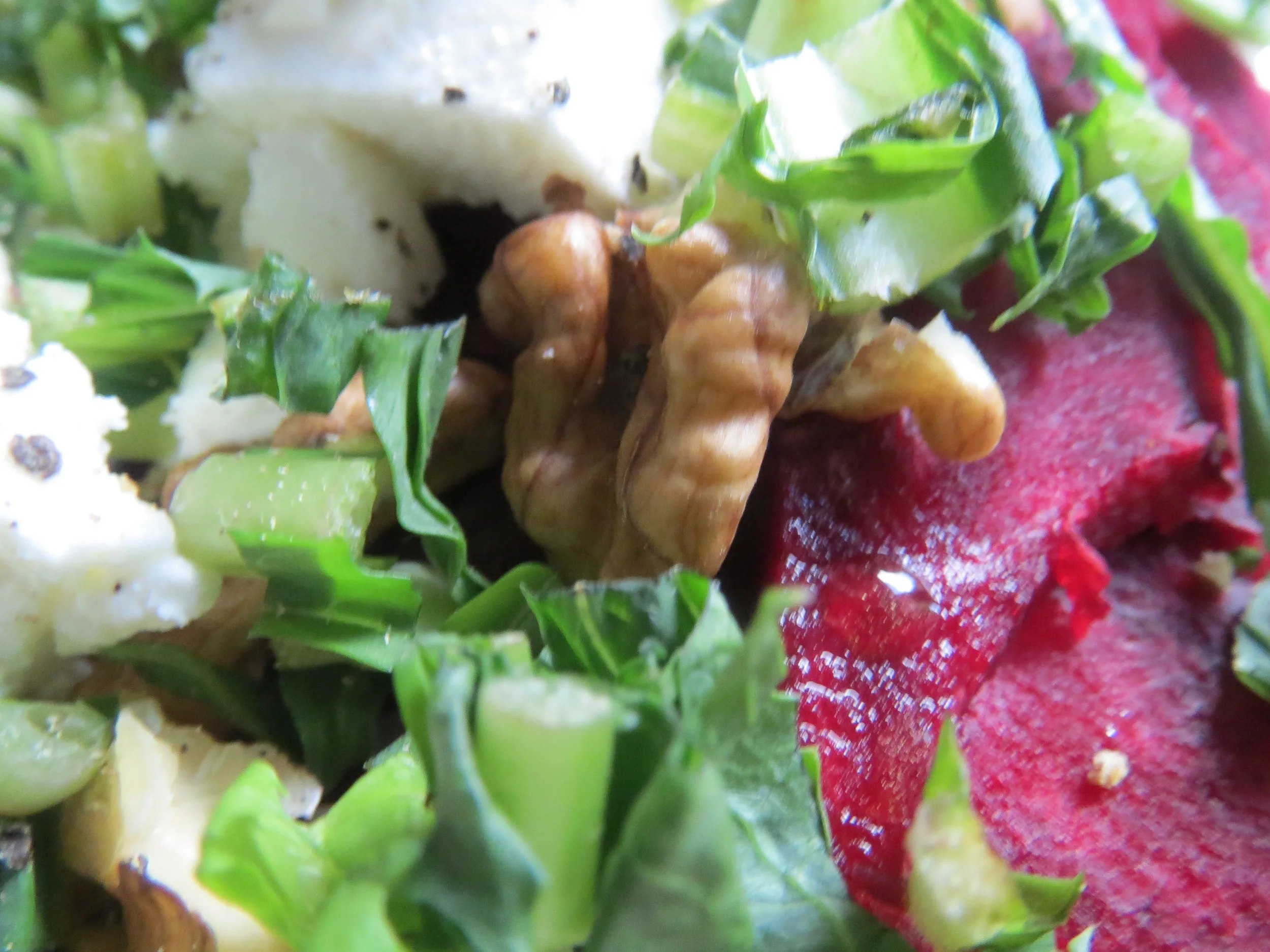 Beetroot, Goats Cheese, Walnut and Dandelion salad