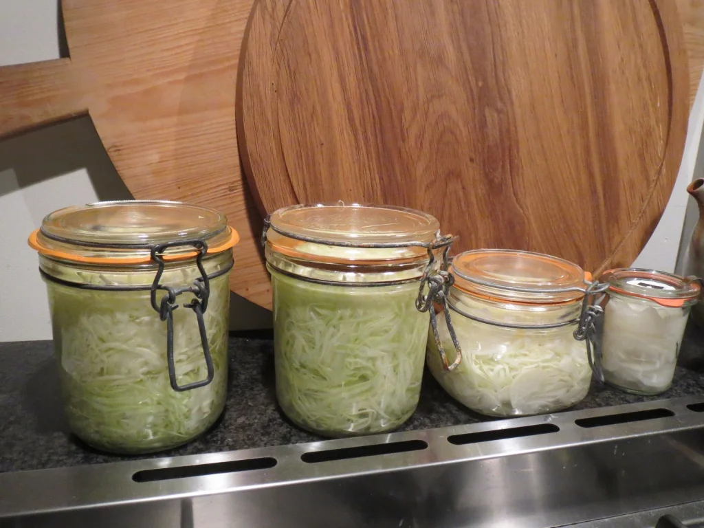 Lifelong Learning... and cabbages