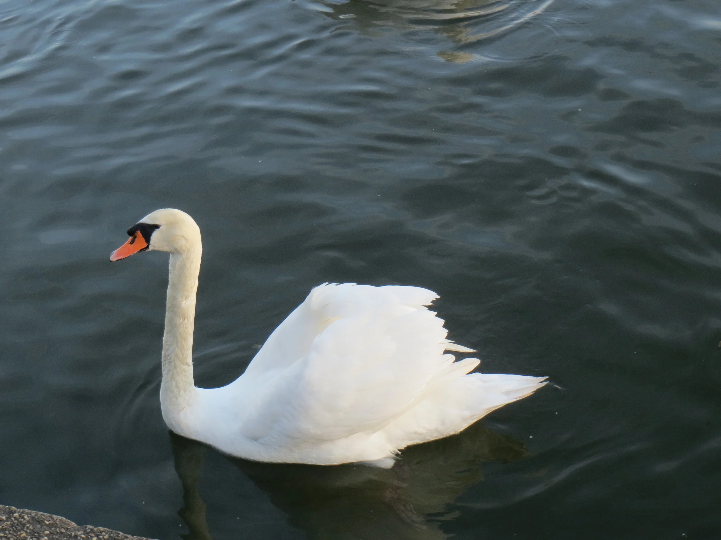 2016... the year of...