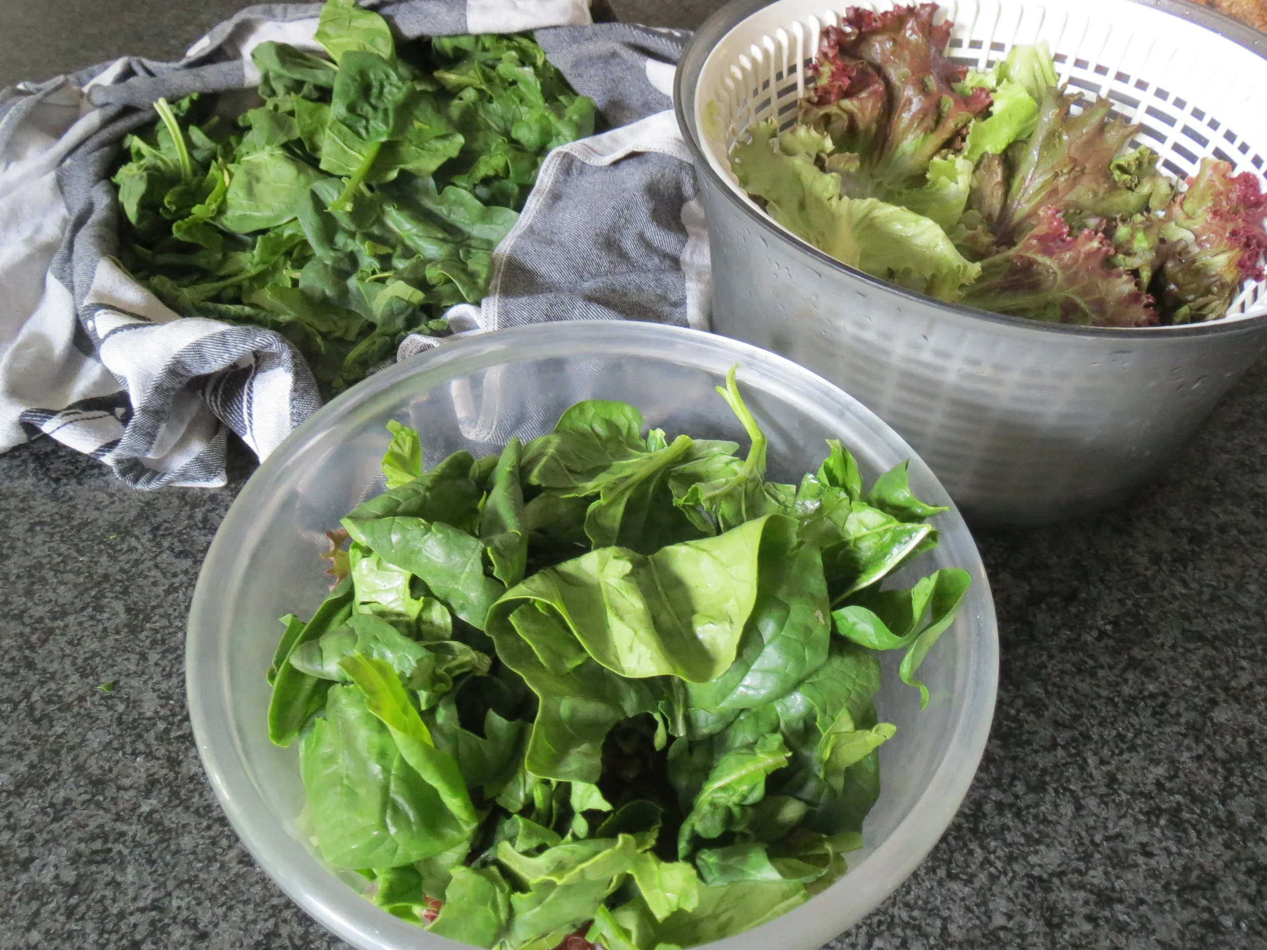 Spinach and chene lettuce