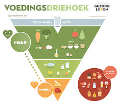 voedingsdriehoek.jpeg