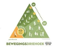 beweging driehoek.jpeg
