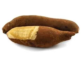 yacon.jpeg