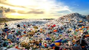 sea of plastic.jpeg