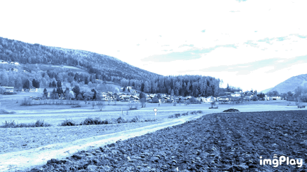 Kauf eines landwirtschaftlichen Grünstückes: Welche Vorkaufsrechte sind zu beachten?