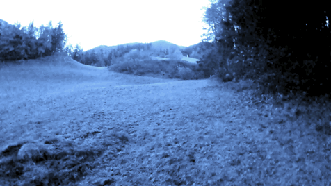 Maso Chiuso - Scioglimento con vendita dei terreni agricoli