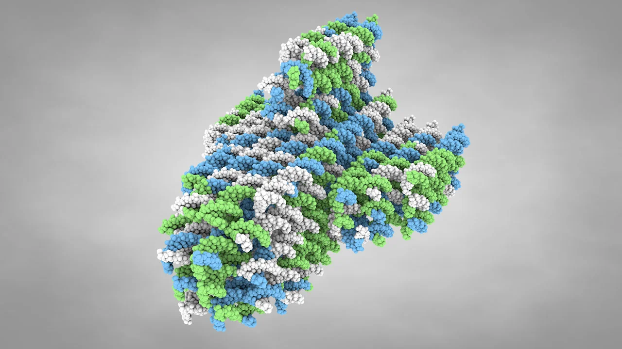 DNA_04.jpg