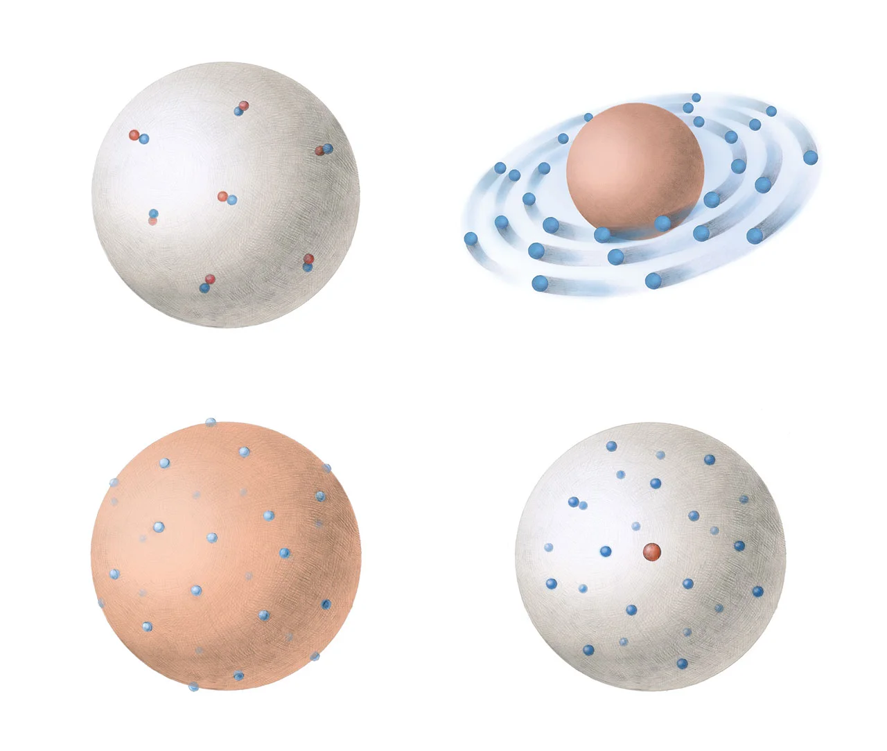 左上:动子模型,右上:土星模型,左下:布丁模型,右下:原子核模型。
