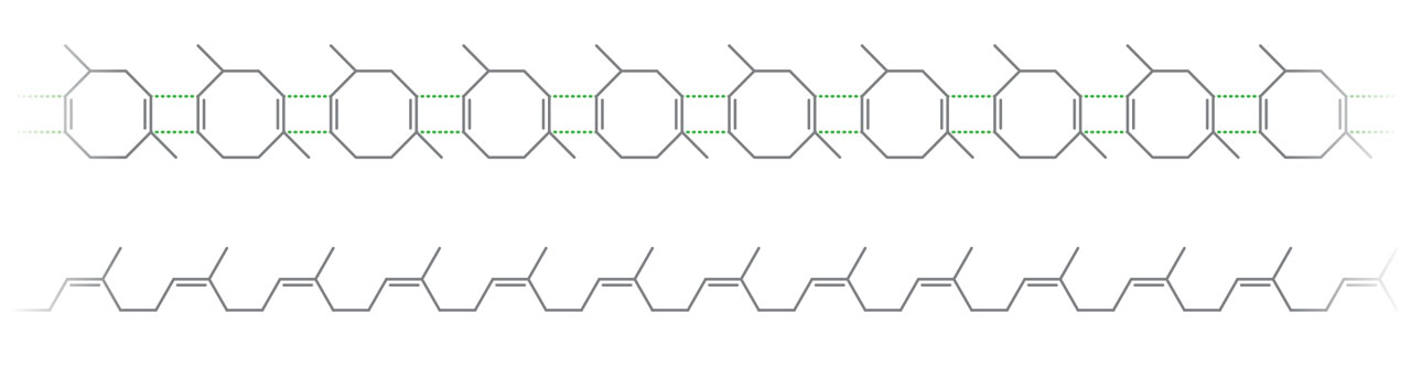 Top: early proposed structure of natural rubber made of small molecules. Bottom: polymer structure of natural rubber.