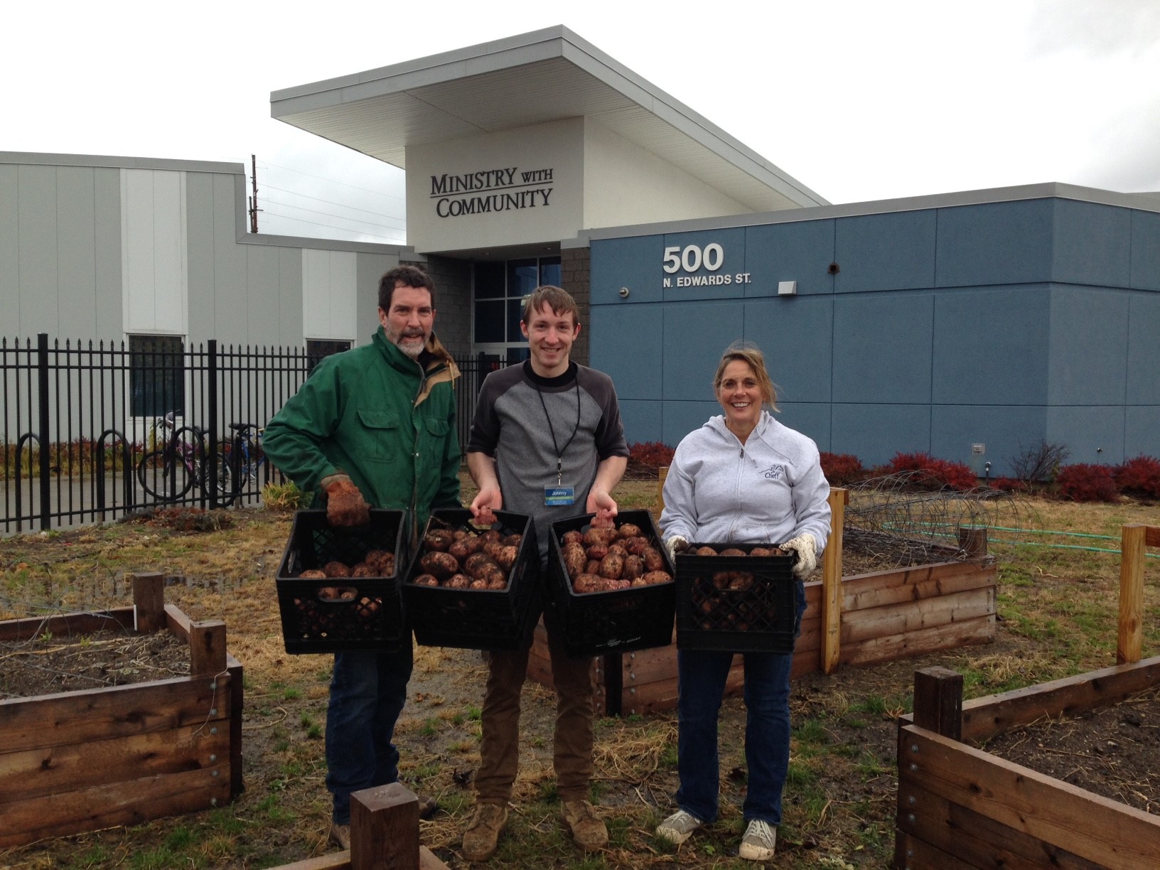 garden potatoes harvest.jpg