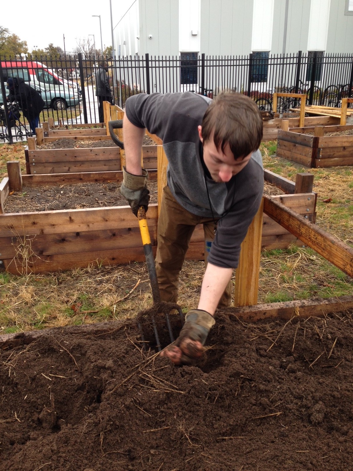 johnny digging potatoes.jpg