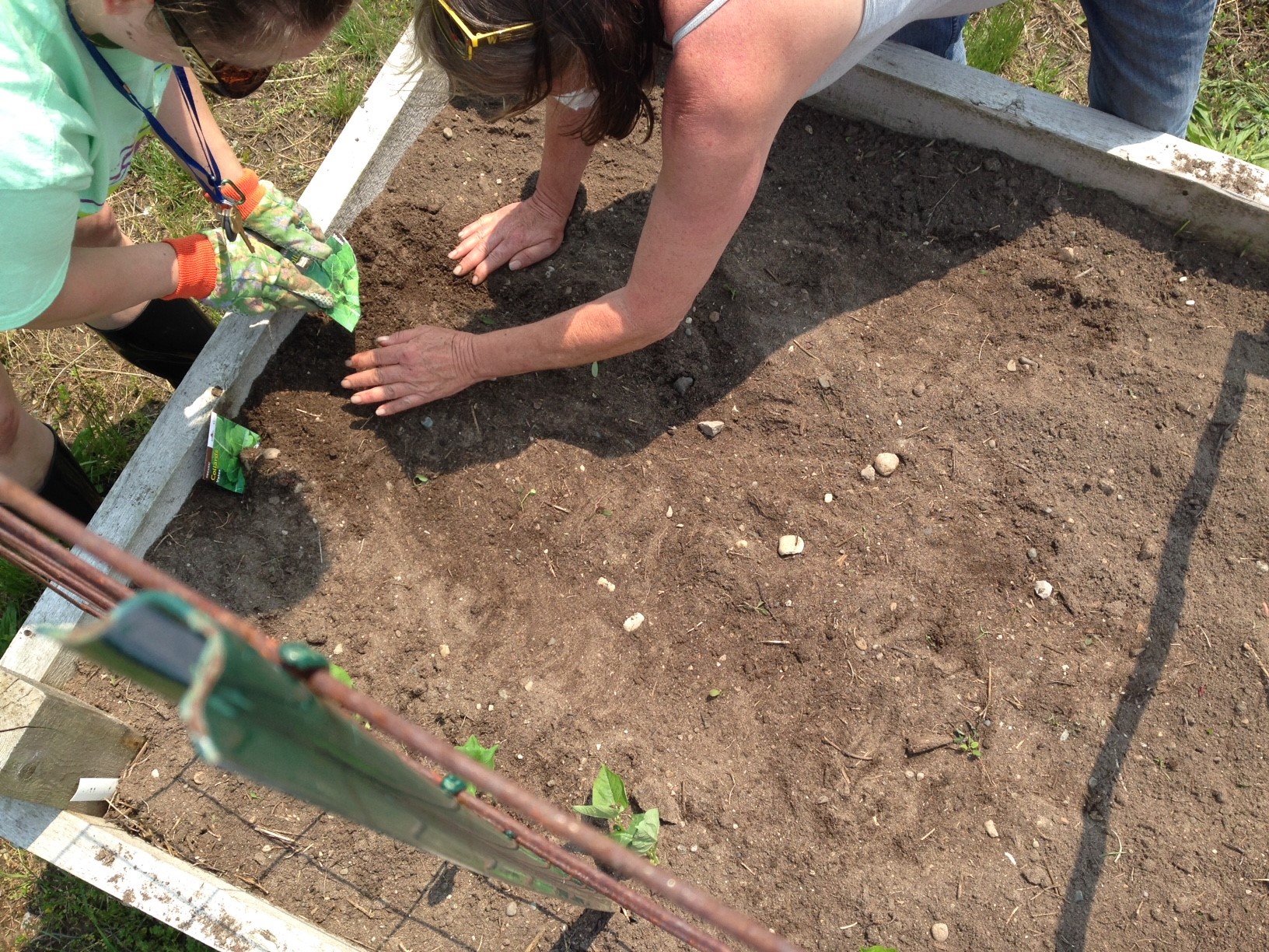 20190531 Garden Planting 2.jpg