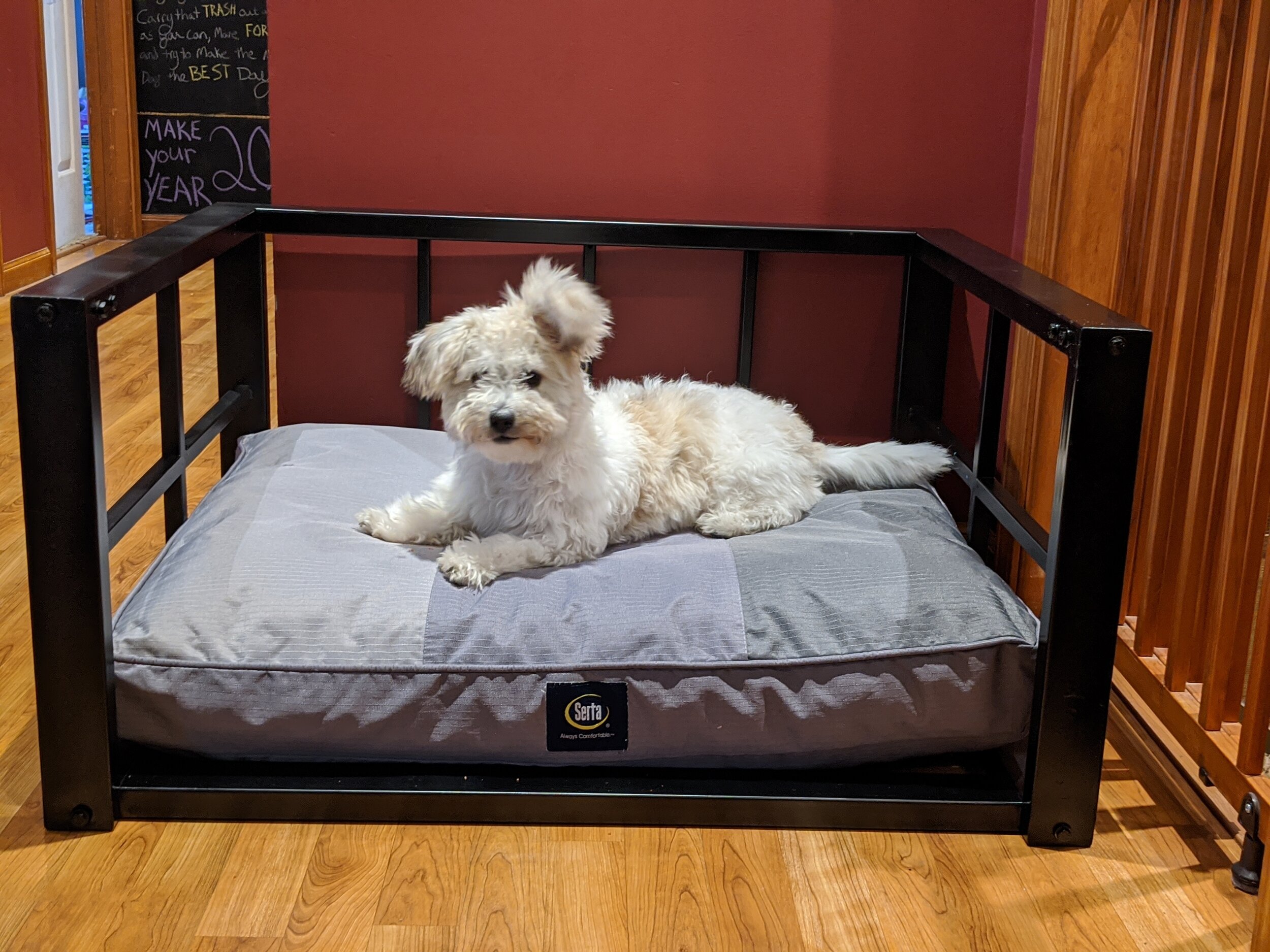  Lucy Westra modeling a dog bed made from a recycled metal table base. 