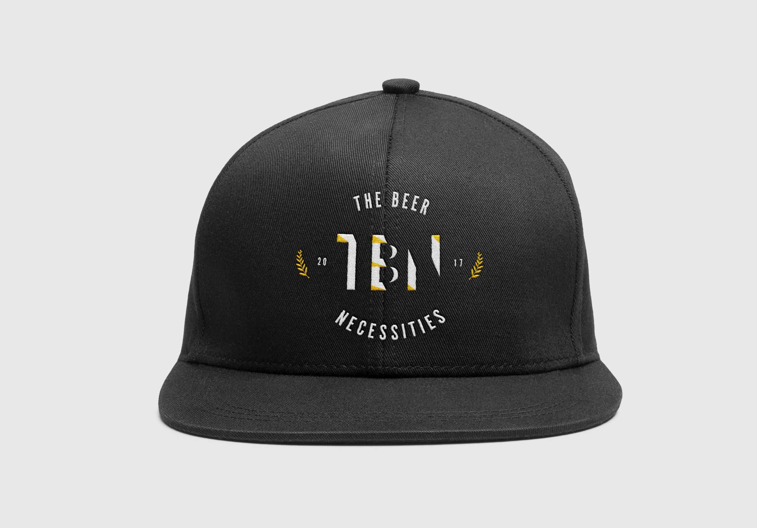 TBN_Cap1.png