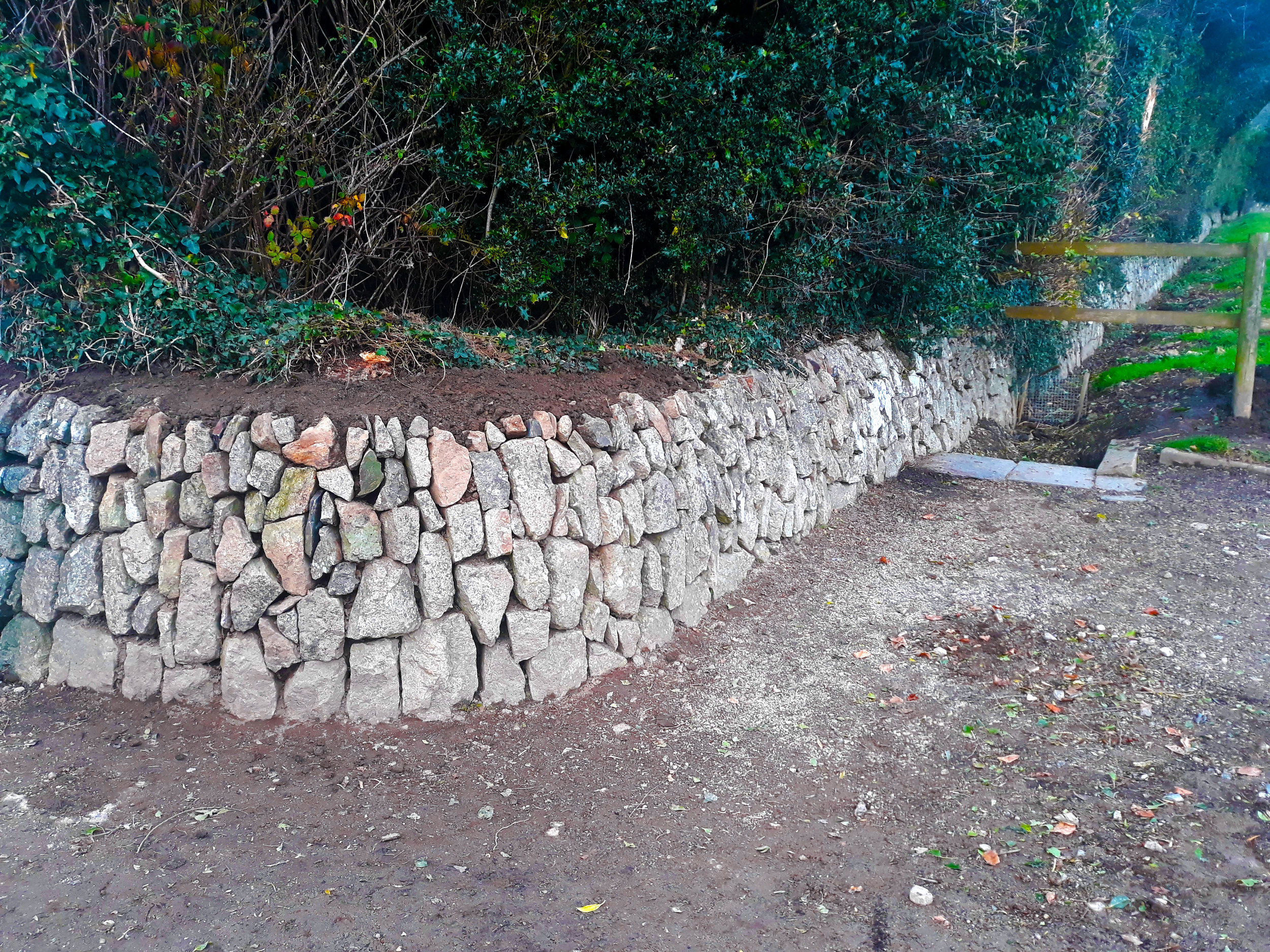 dry stone walling hedge laying South Devon Cornwall Plymouth services UK south west England Chris Bond