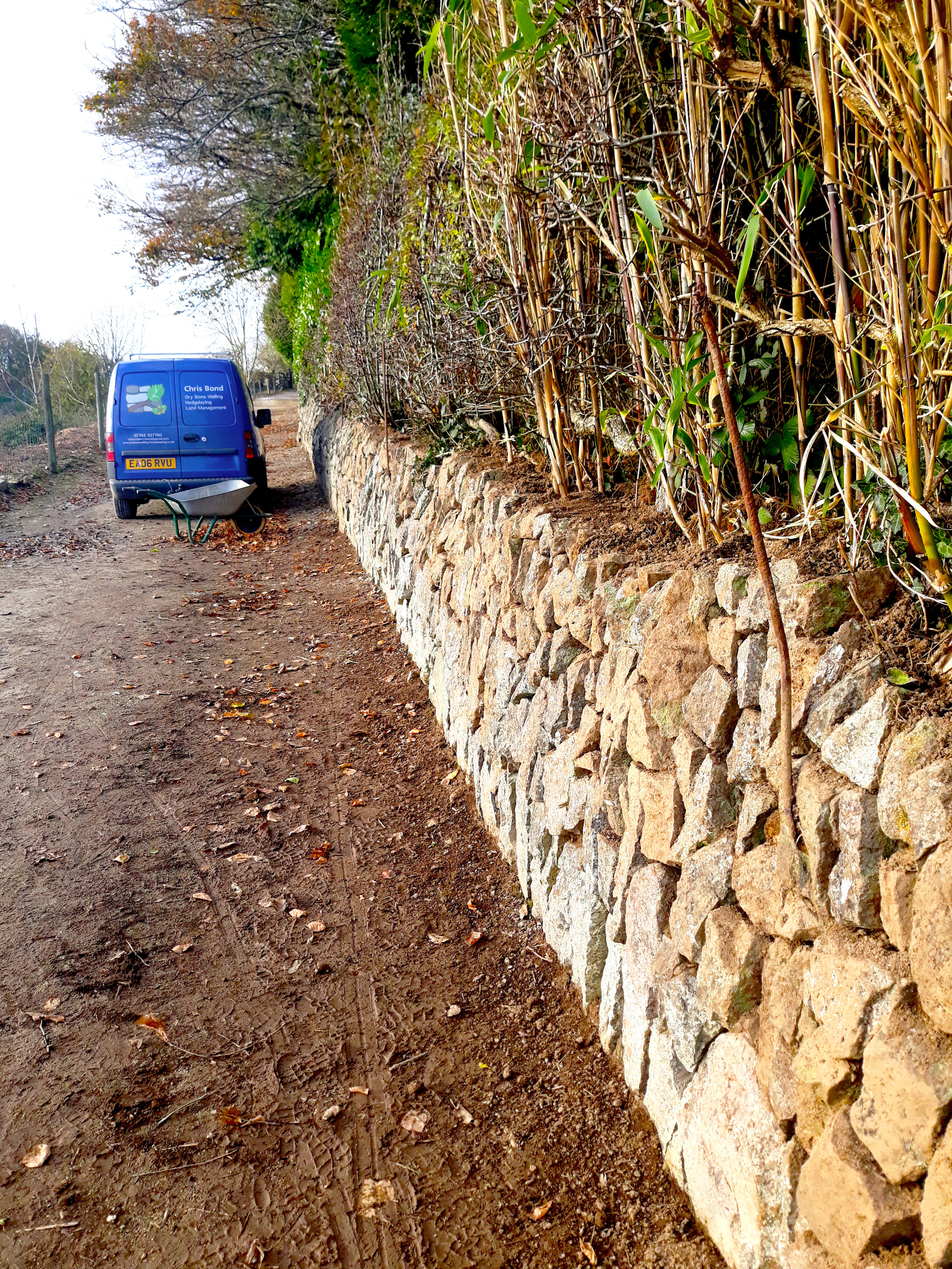 dry stone walling hedge laying South Devon Cornwall Plymouth services UK south west England Chris Bond