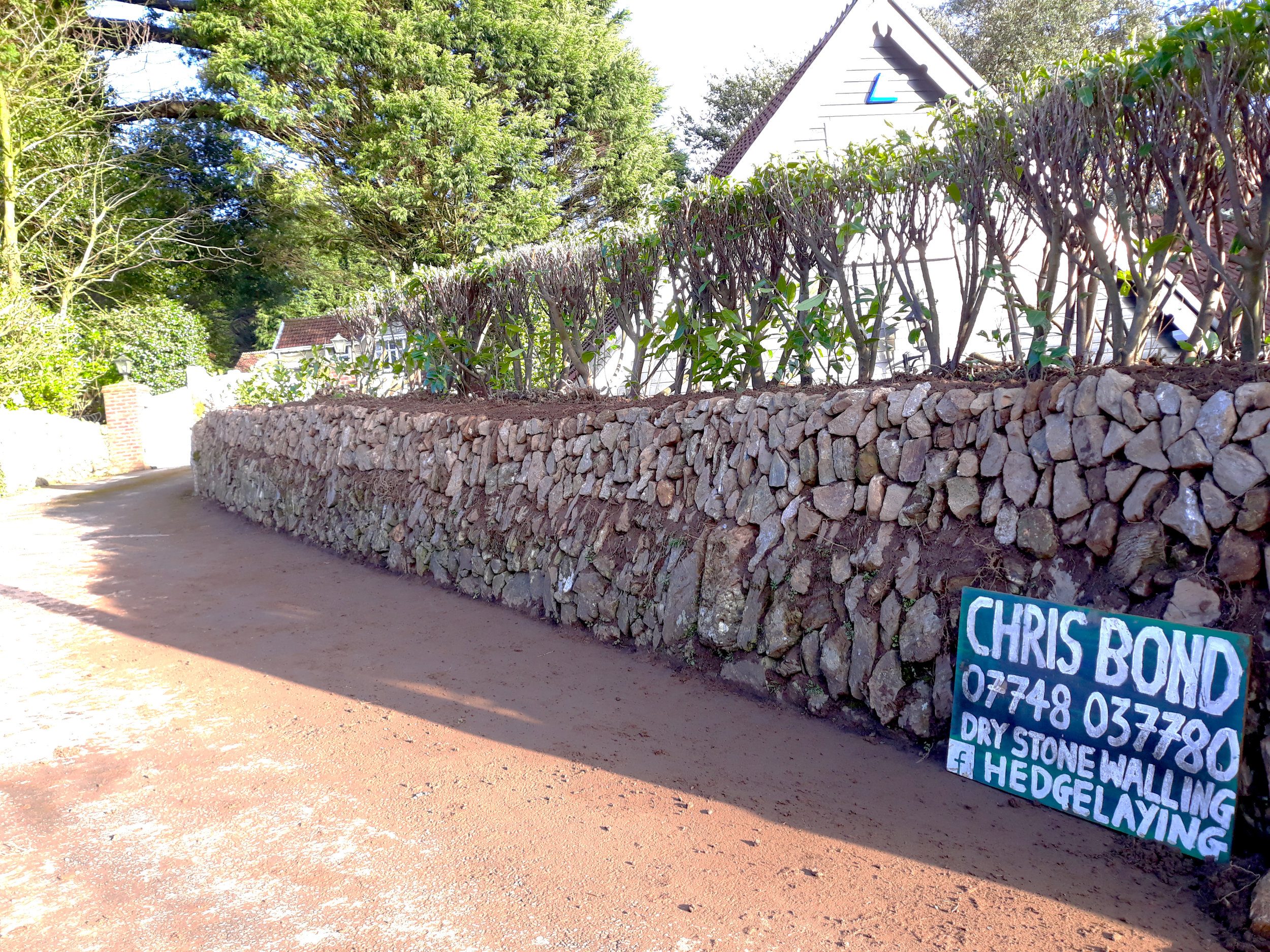 dry stone walling hedge laying South Devon Cornwall Plymouth services UK south west England Chris Bond