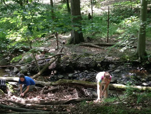2013 Stewardship Interns planting native wildflowers, as part of a stream bank restoration project in Mountain Lakes Preserve
