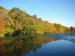 1st Annual FOPOS Give Thanks for Nature Photo Contest