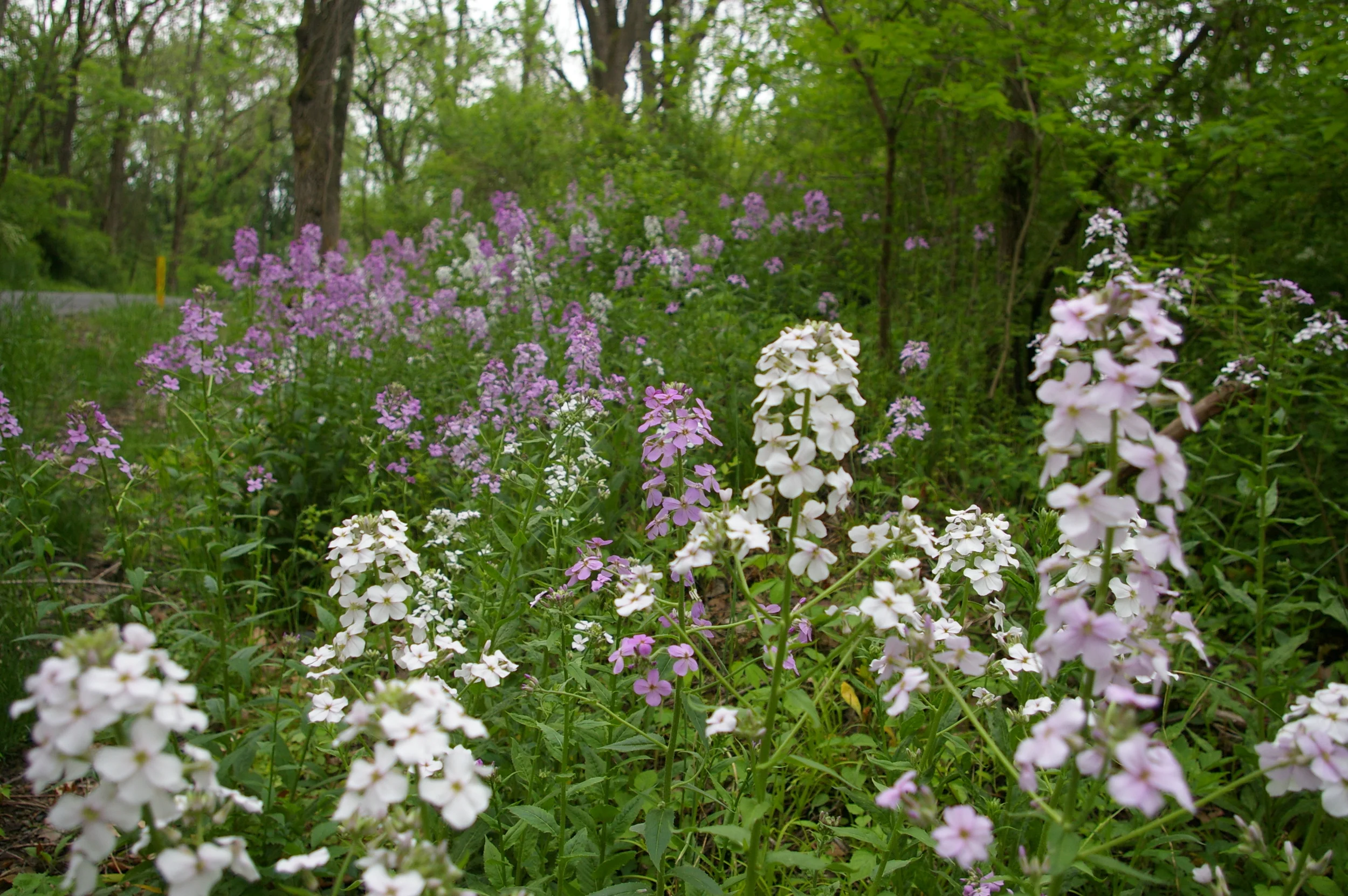Mothers' Day Open House