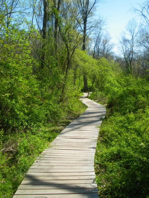 Get Out and Celebrate National Trails Day!