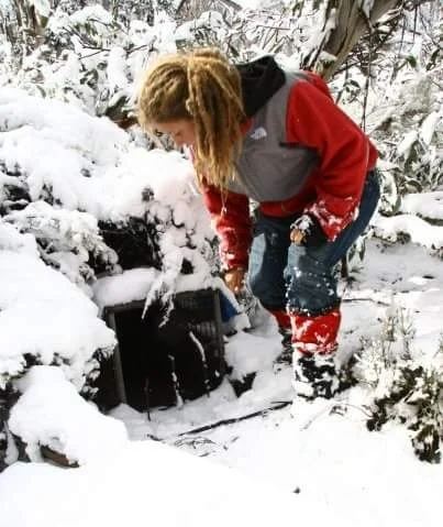 Wombat surveillance, Snowy Mountains ‘The Snowies’, Australia