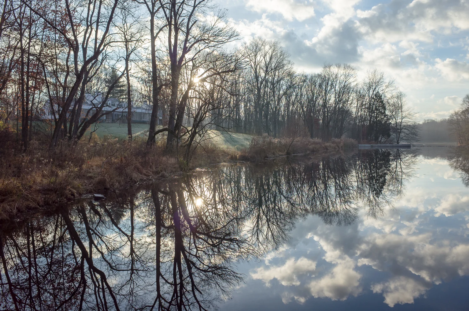 Winter Landscape