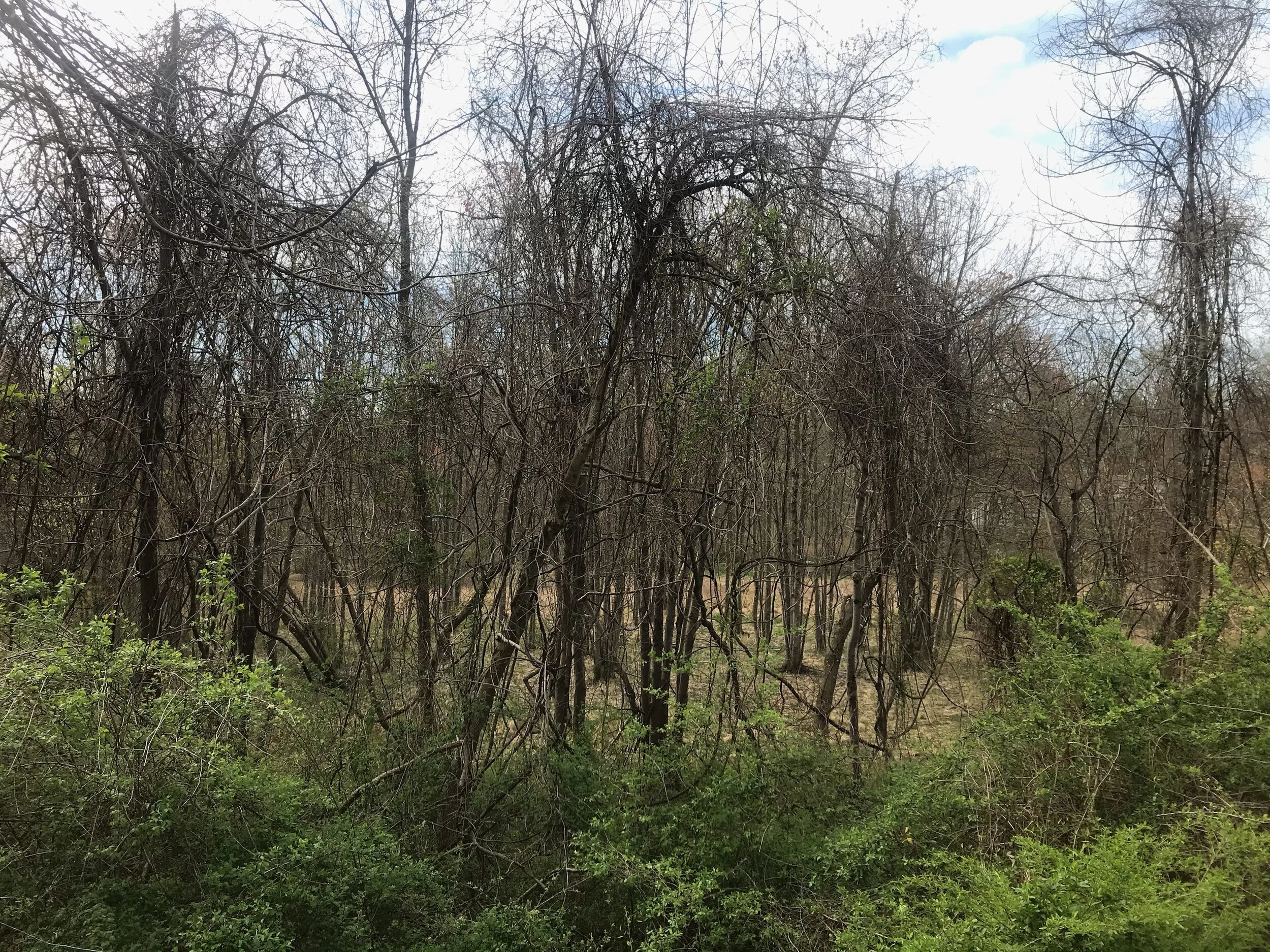 Ridgeview Road Property