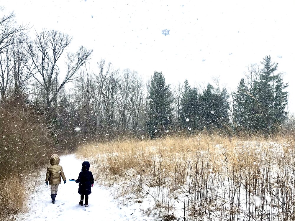 SNOWY PATH by Kristina Corvin 