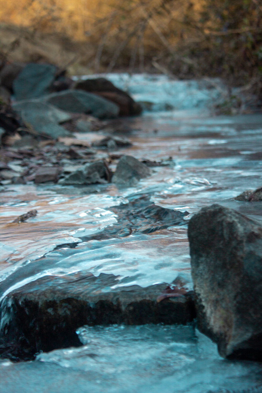 FROZEN STREAM 1 by Ayan Khanna 