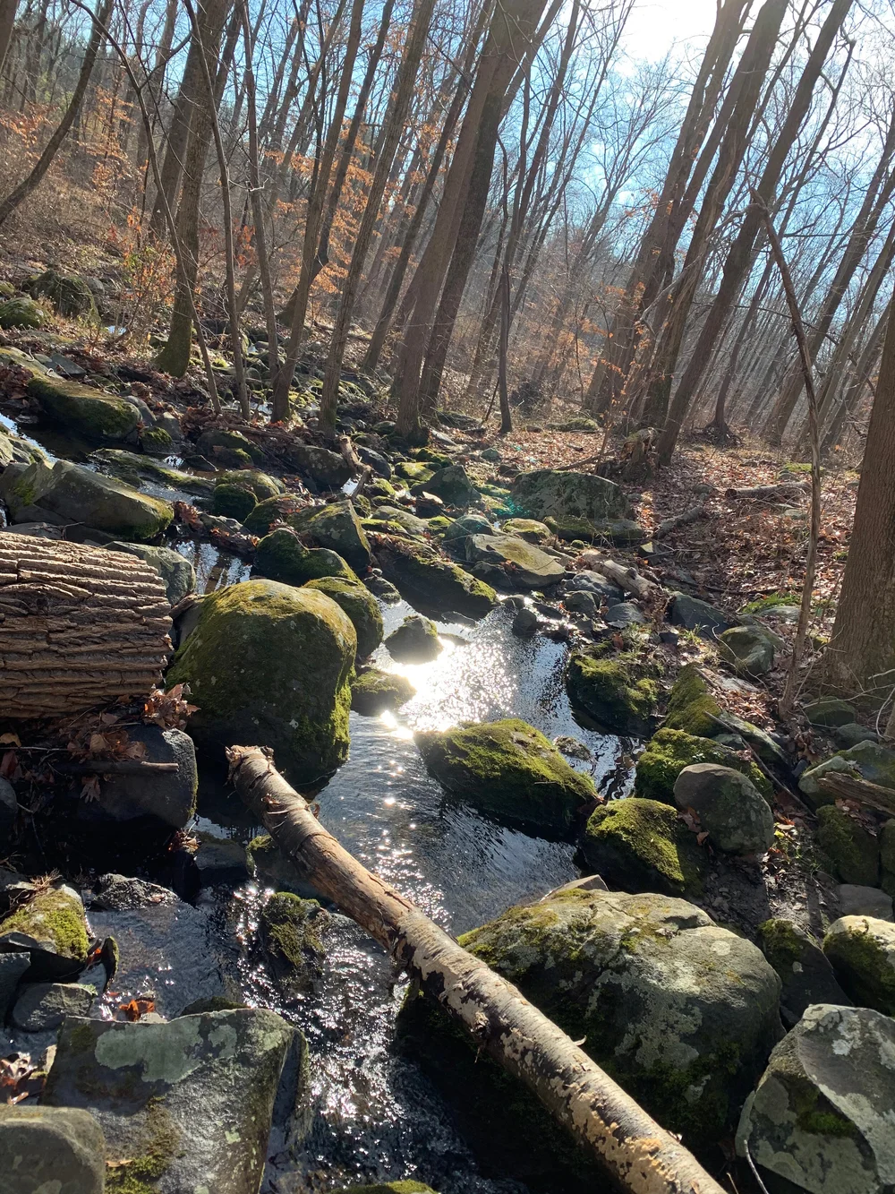 ROCKY STREAM by Nicholas Foong