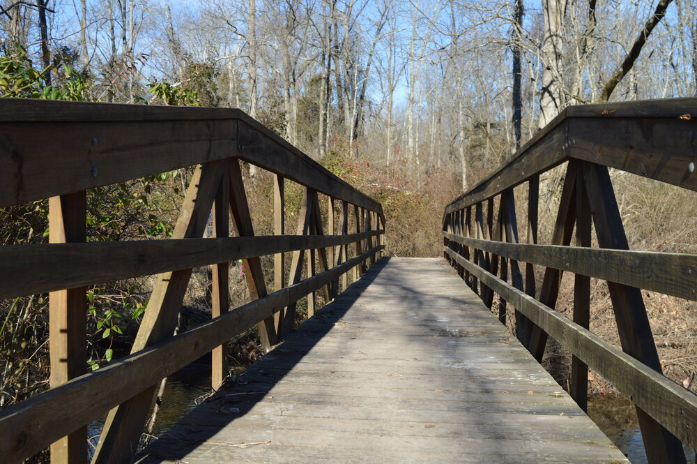 BRIDGE by Sarah Burlion