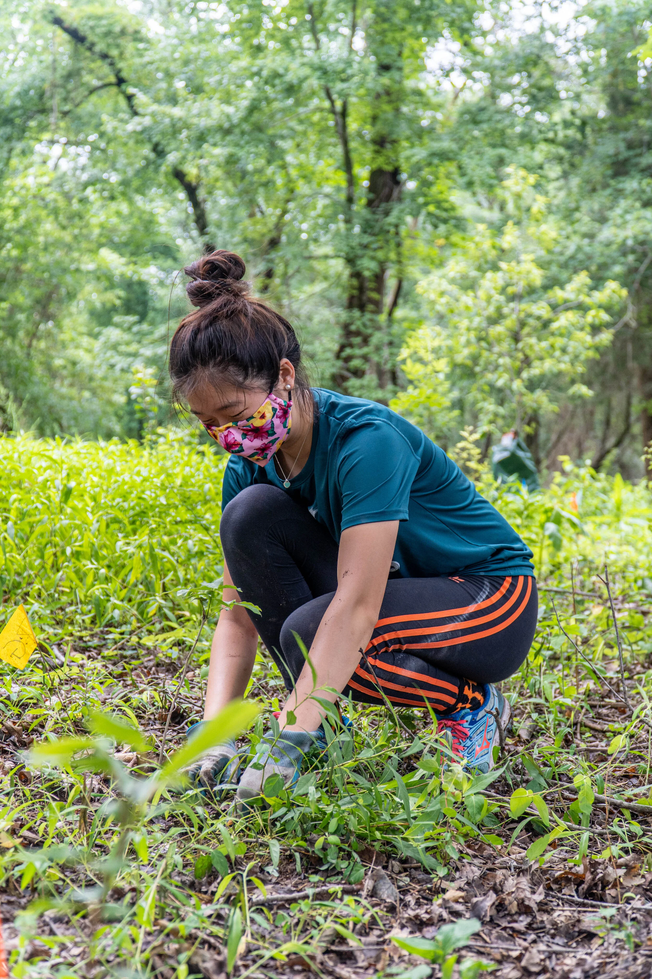 Call for Volunteers! FOPOS Spring Planting Days