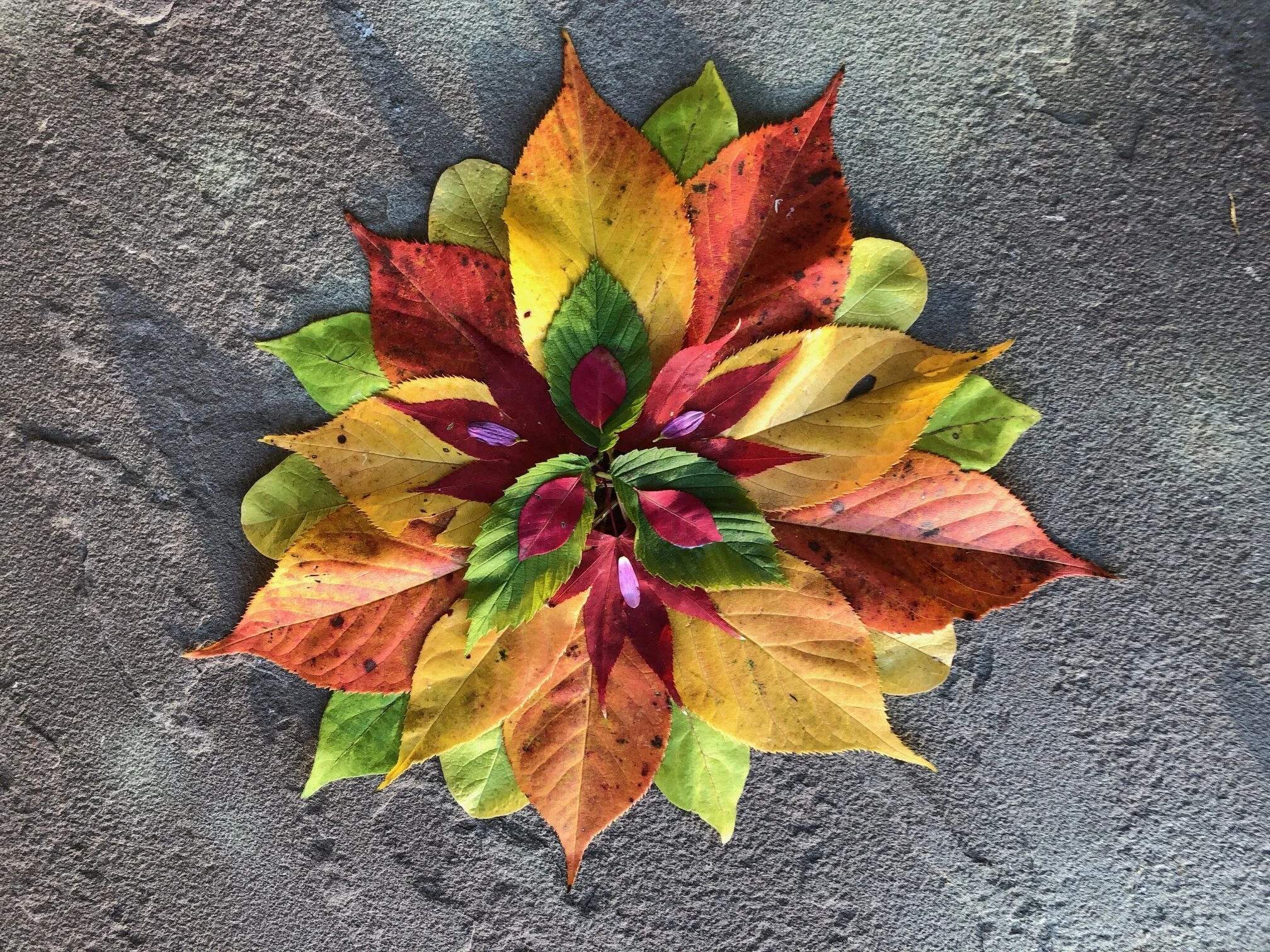 POSTPONED: Communities of Color Come Together: An Evening of Art + Nature